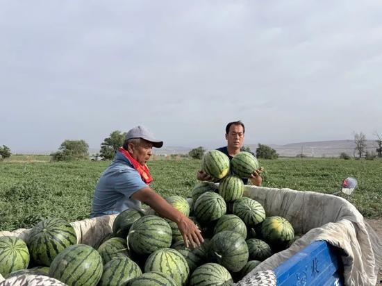 闾山吃瓜者,闾山吃瓜者的夏日奇遇记