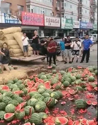 山东花店吃瓜后续事件,真相揭晓，网络舆论再起波澜